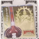 Gents Tanpura String Set- Karuna Brand