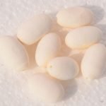Sitar- Tanpura -Manka- Egg Beads- 5 Pcs