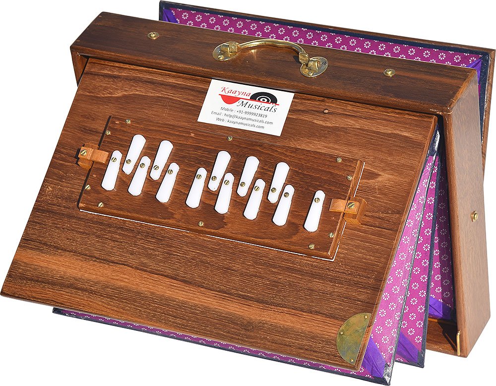 L10 Shruti Box Teak Wood Size (16″ X 12″ X 3″) Inches- Golden Special- 440 Hz, Gig Bag, Natural Color, Key- C To C (Lower Tone), Surpeti, Yoga, Bhajan, Kirtan, Mantra, Drone, Vocal - Image 1