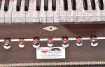 Premium Harmonium By Kaayna Musicals, 11 Stops- 6 Main, 5 Drone, 3½ Octaves, Walnut Finish, Coupler, Carry Bag – 440 Hz For Yoga, Bhajan, Kirtan, Shruti, Mantra, Meditation, Chant, Vocal - Image 5