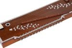 Designer Tanmandal (Tanpura + Swarmandal)~2 IN1~Tambora, Tambura, Tanpuri (Male Type), Surmandal (15 String), Comes with Gig Bag, Few Extra Strings, Best Quality Machine Tuning Head - Image 5