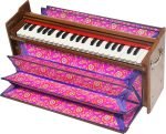 Harmonium Dulcetina With Five Drone- Teak Wood By Kaayna Musicals, Compact Size, Easy to Carry, 3½ Octaves, Natural Wood Colour, Gig Bag, Bass & Male Reed- 440 Hz, Suitable for Yoga, Bhajan, Kirtan, Shruti, Mantra, Chanting - Image 10